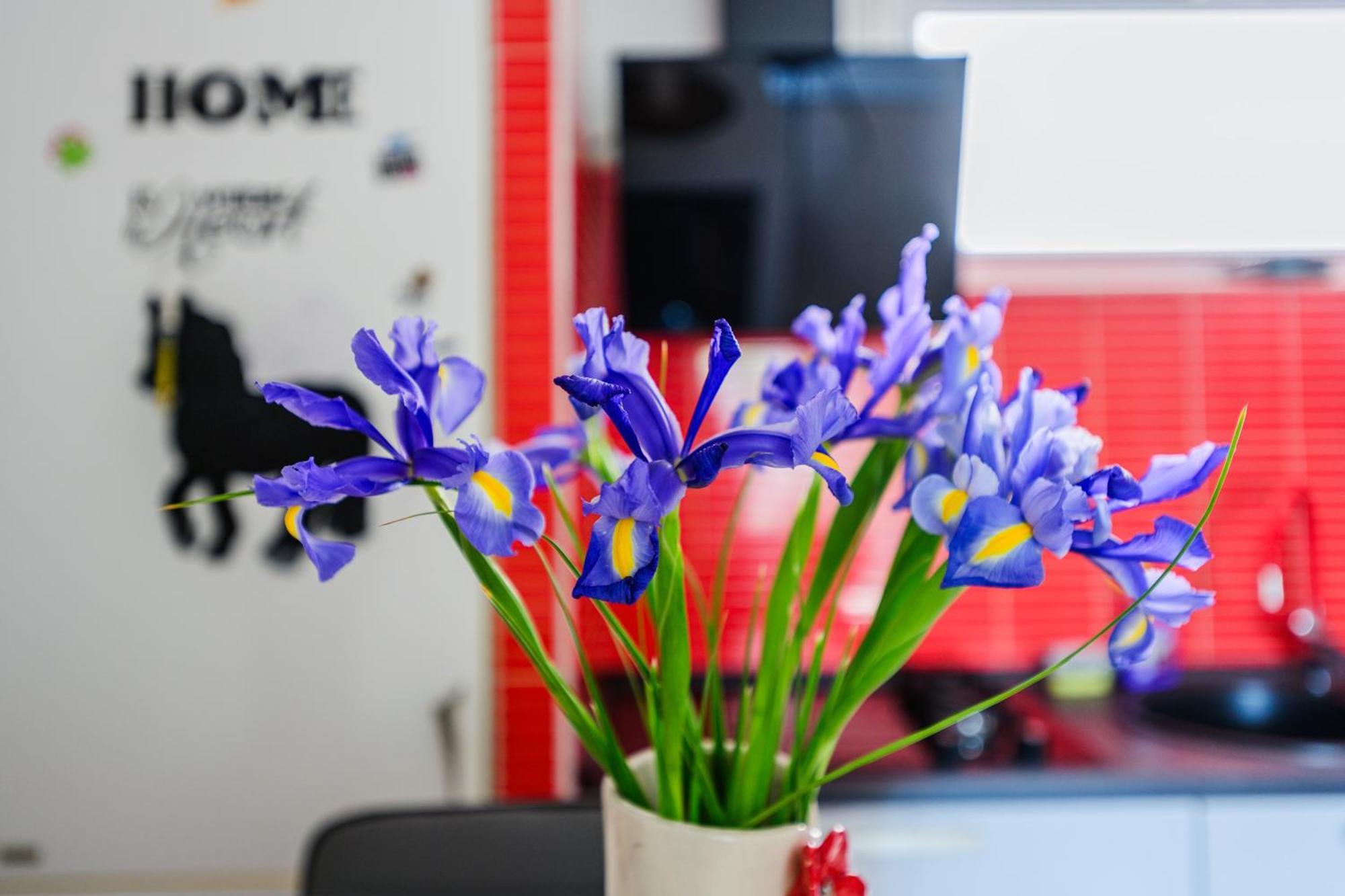 Fancy Apartment - Near The Zadar Bridge ภายนอก รูปภาพ